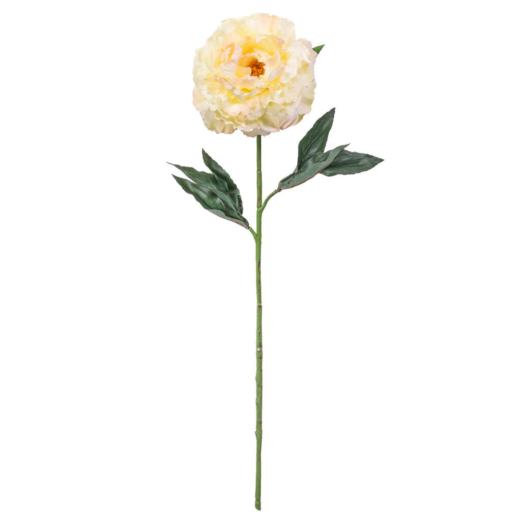 10501952.jpg img